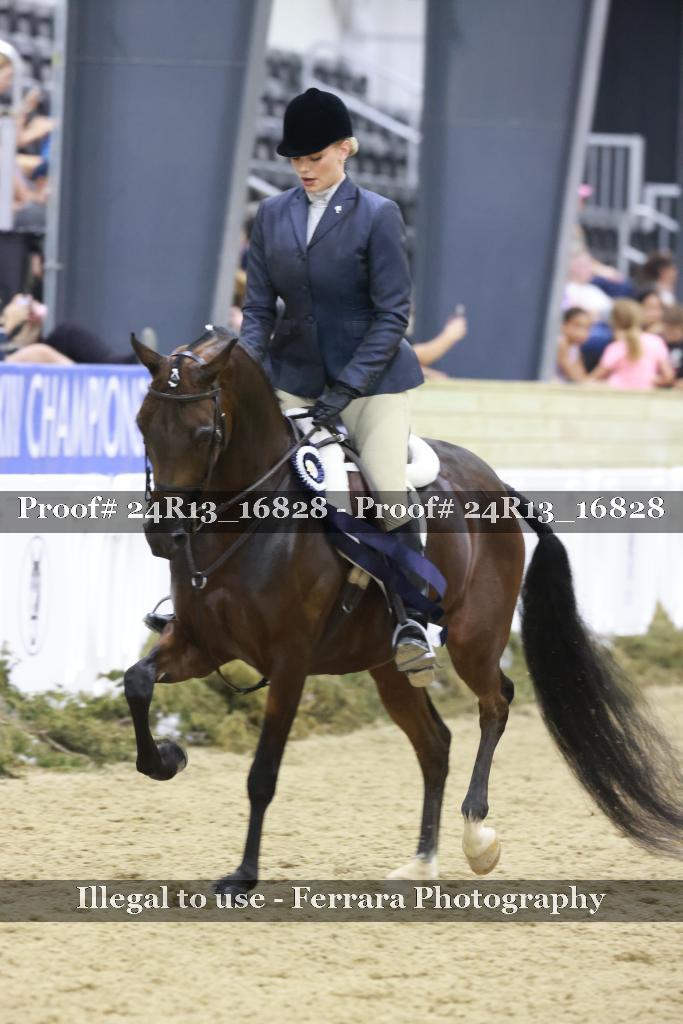 Proof Number 24R13_16828