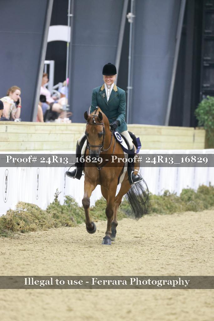 Proof Number 24R13_16829