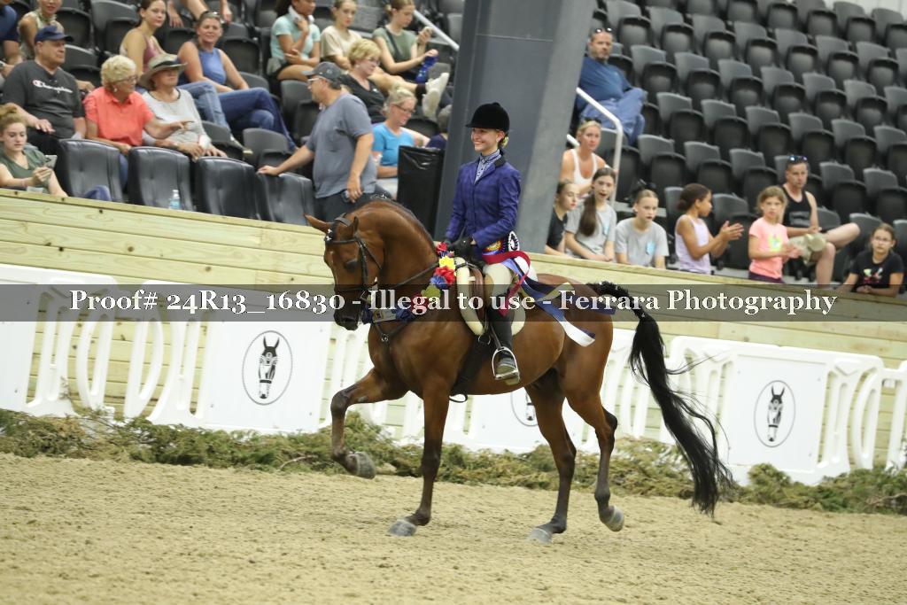 Proof Number 24R13_16830