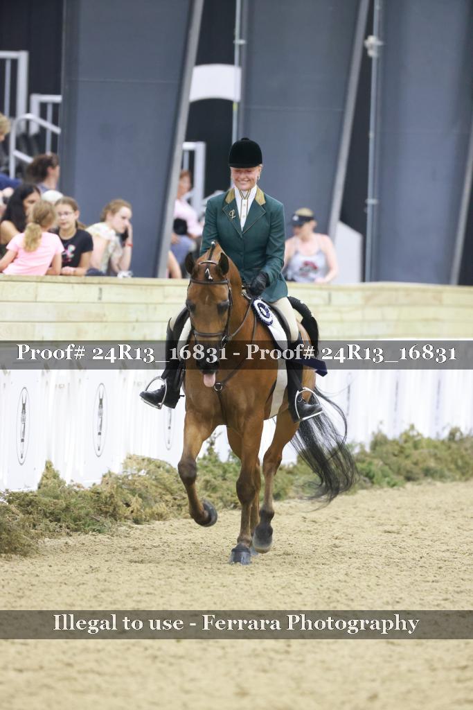 Proof Number 24R13_16831