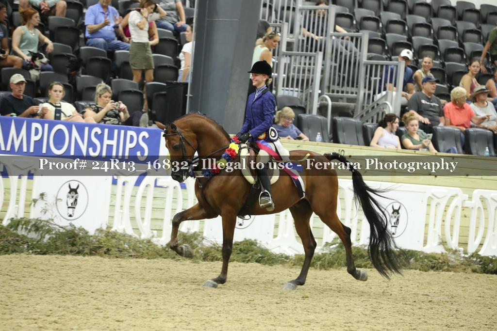 Proof Number 24R13_16832