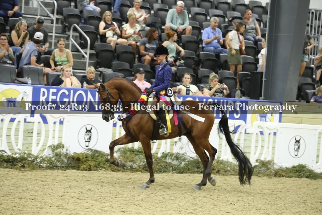 Proof Number 24R13_16833