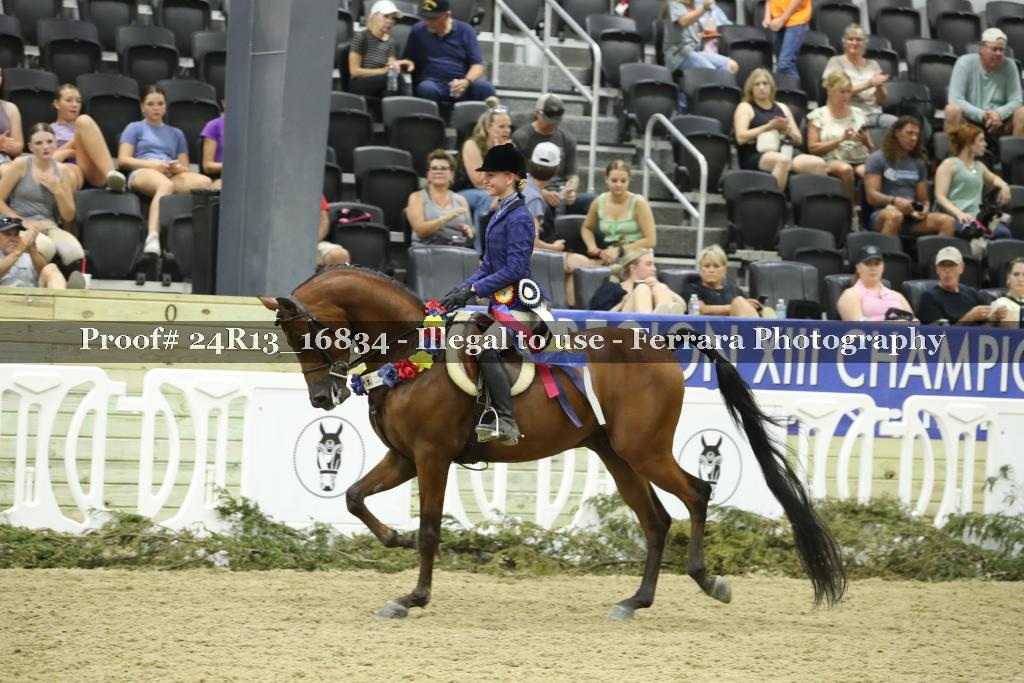 Proof Number 24R13_16834