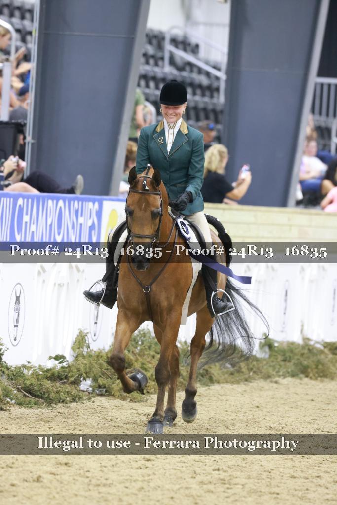 Proof Number 24R13_16835