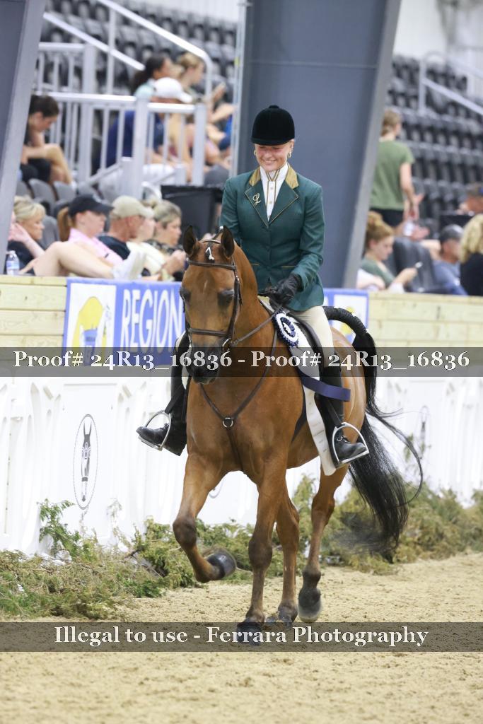 Proof Number 24R13_16836