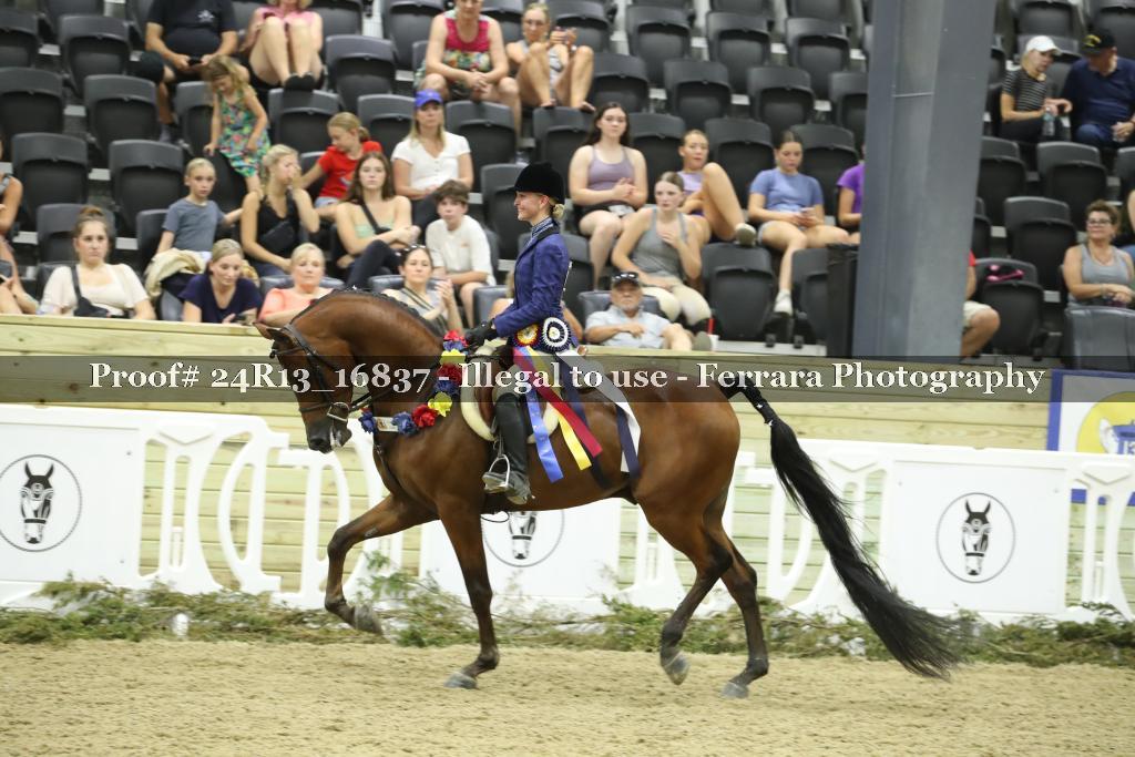 Proof Number 24R13_16837