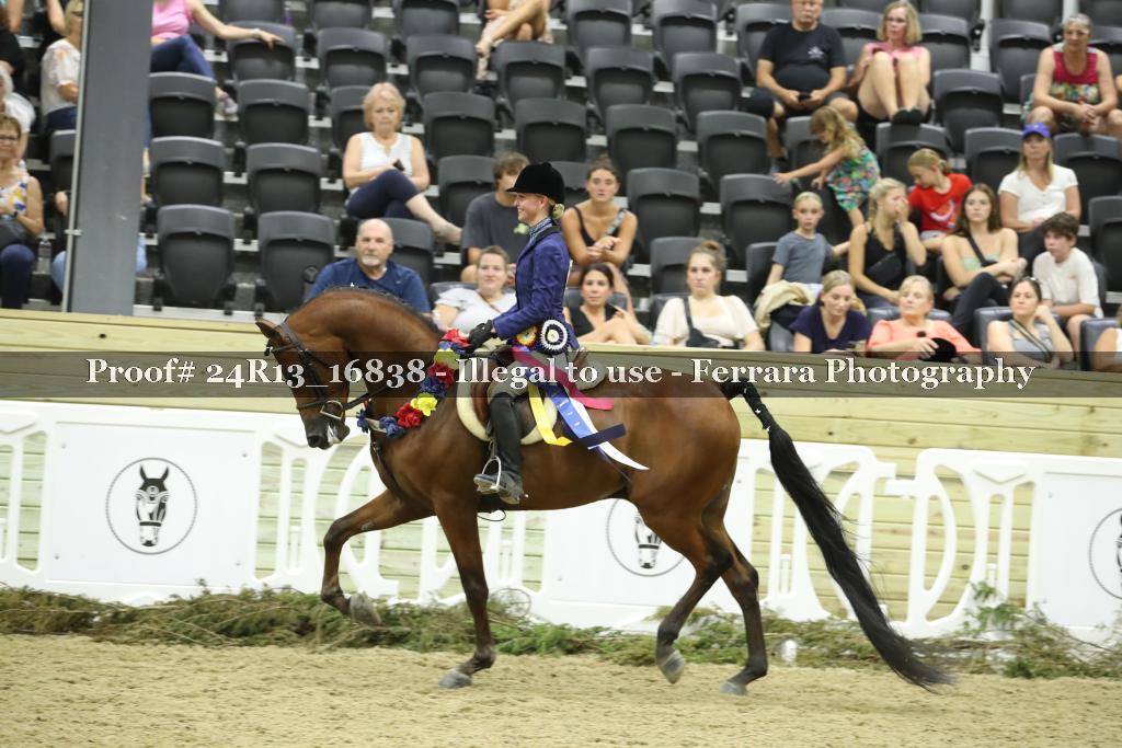 Proof Number 24R13_16838