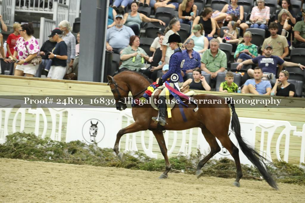 Proof Number 24R13_16839