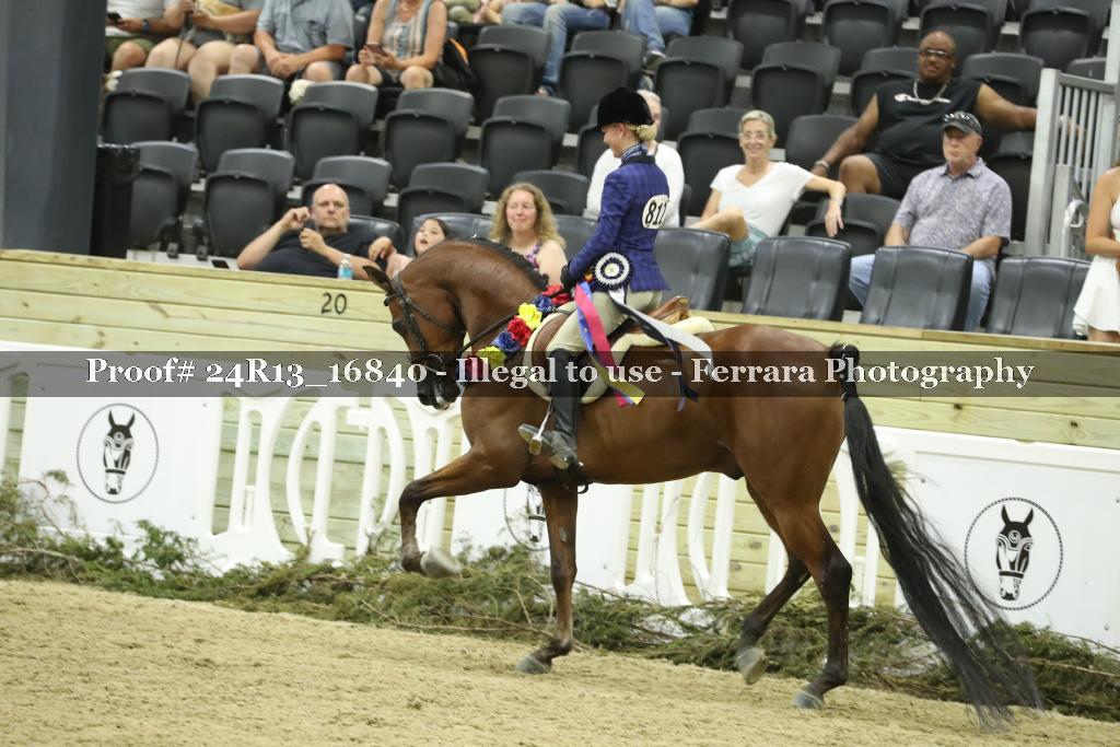 Proof Number 24R13_16840