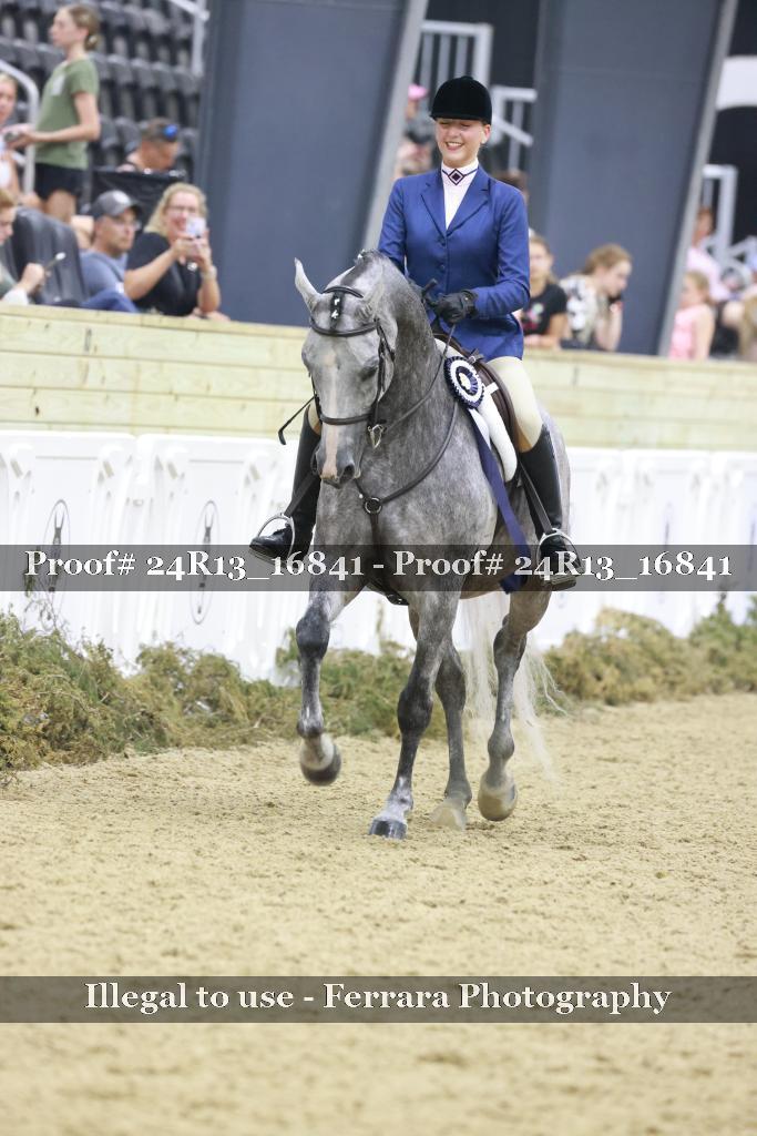 Proof Number 24R13_16841