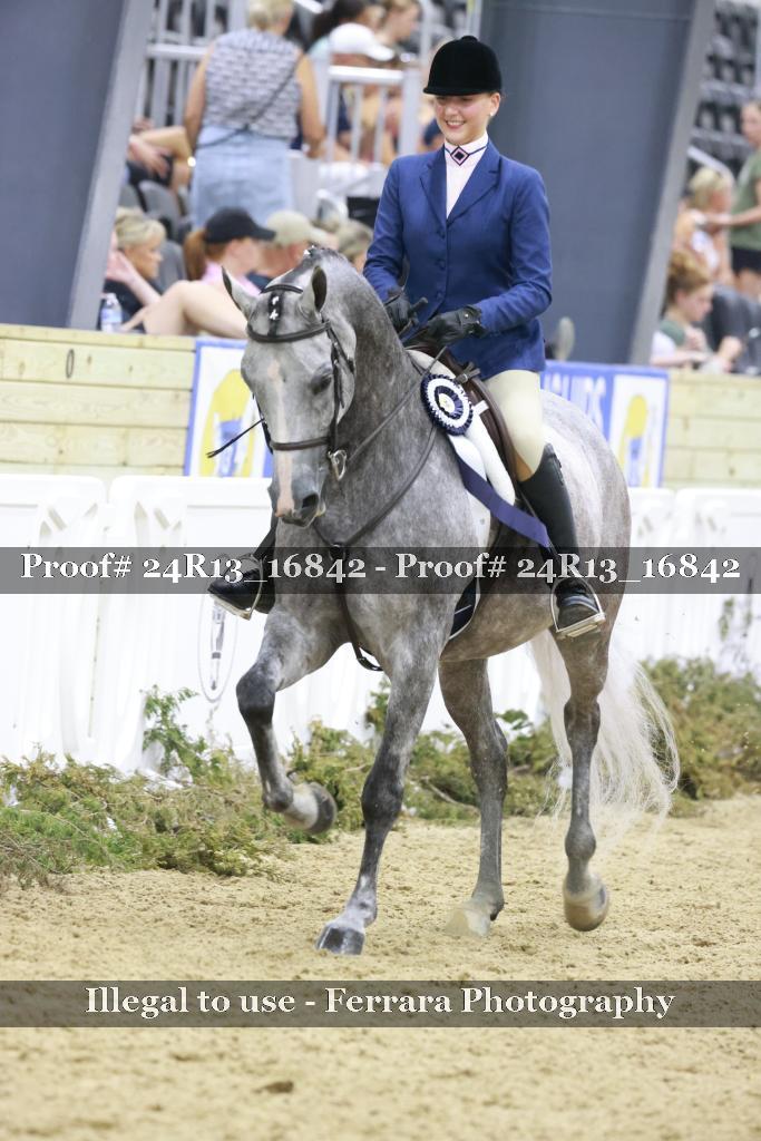 Proof Number 24R13_16842