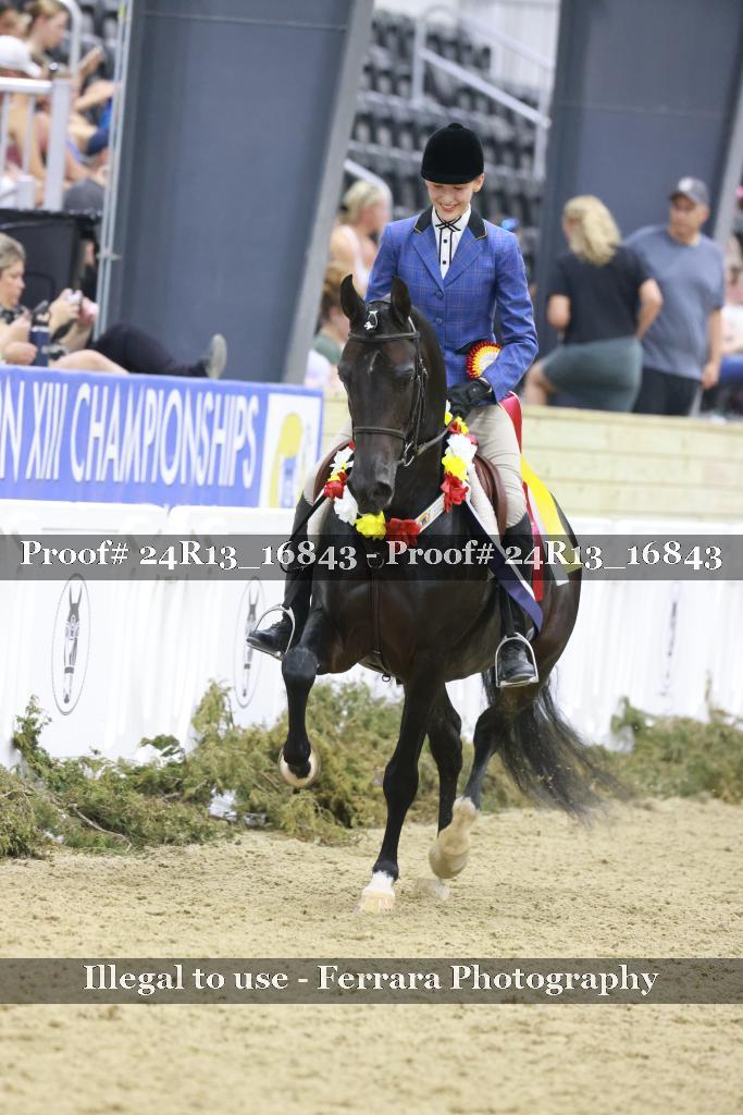 Proof Number 24R13_16843