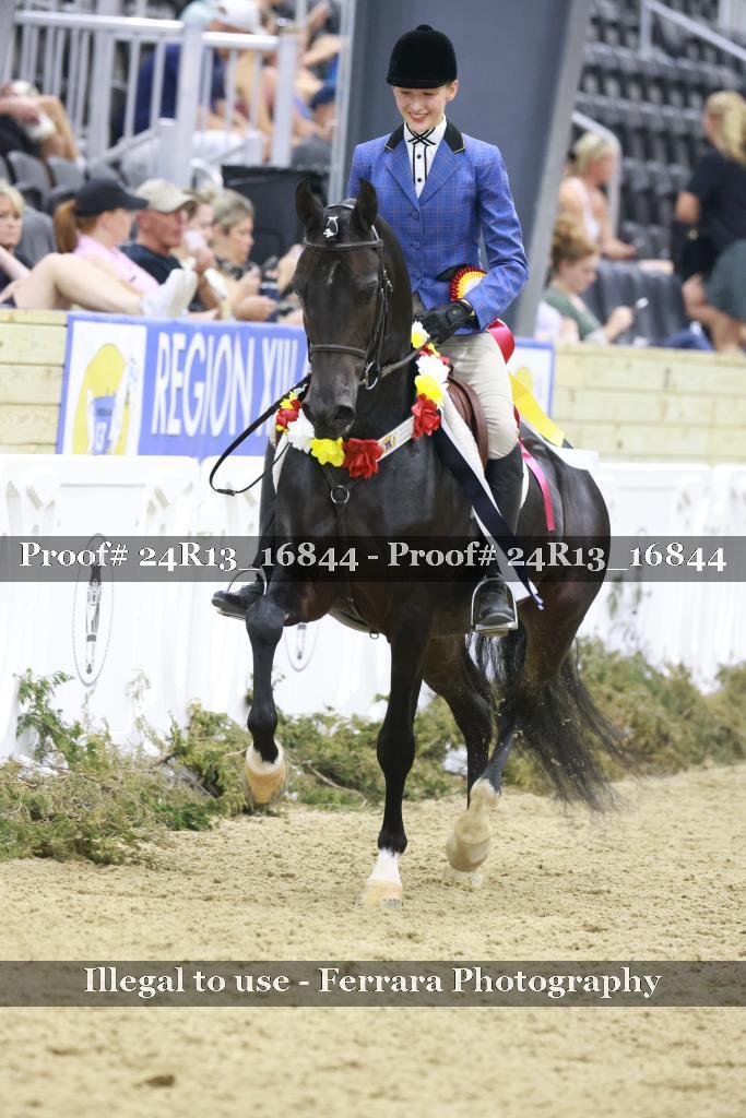 Proof Number 24R13_16844