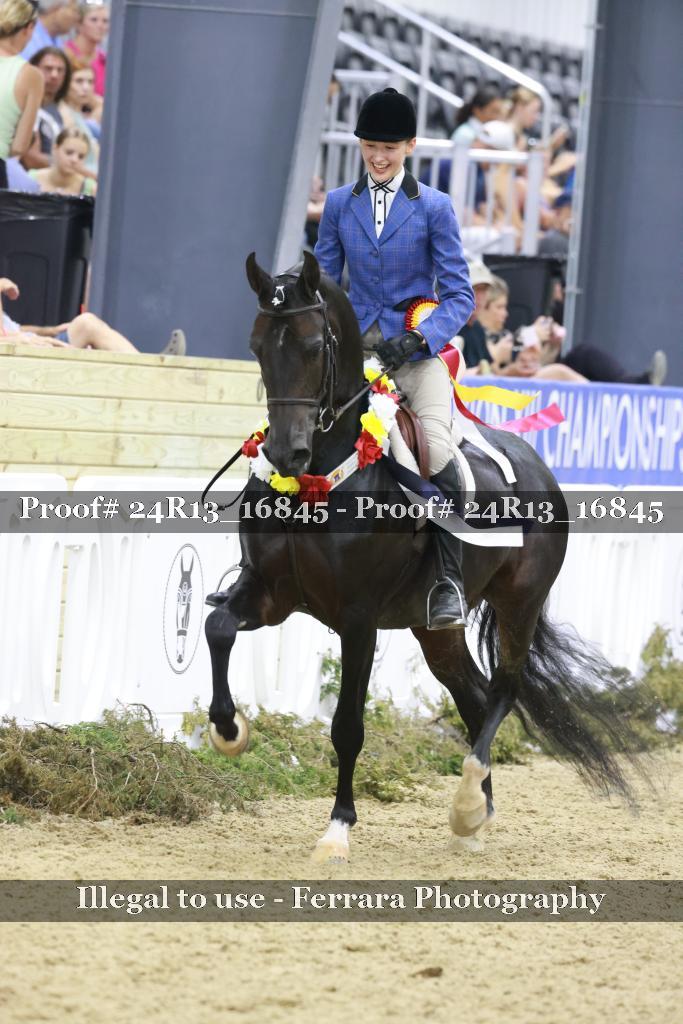 Proof Number 24R13_16845