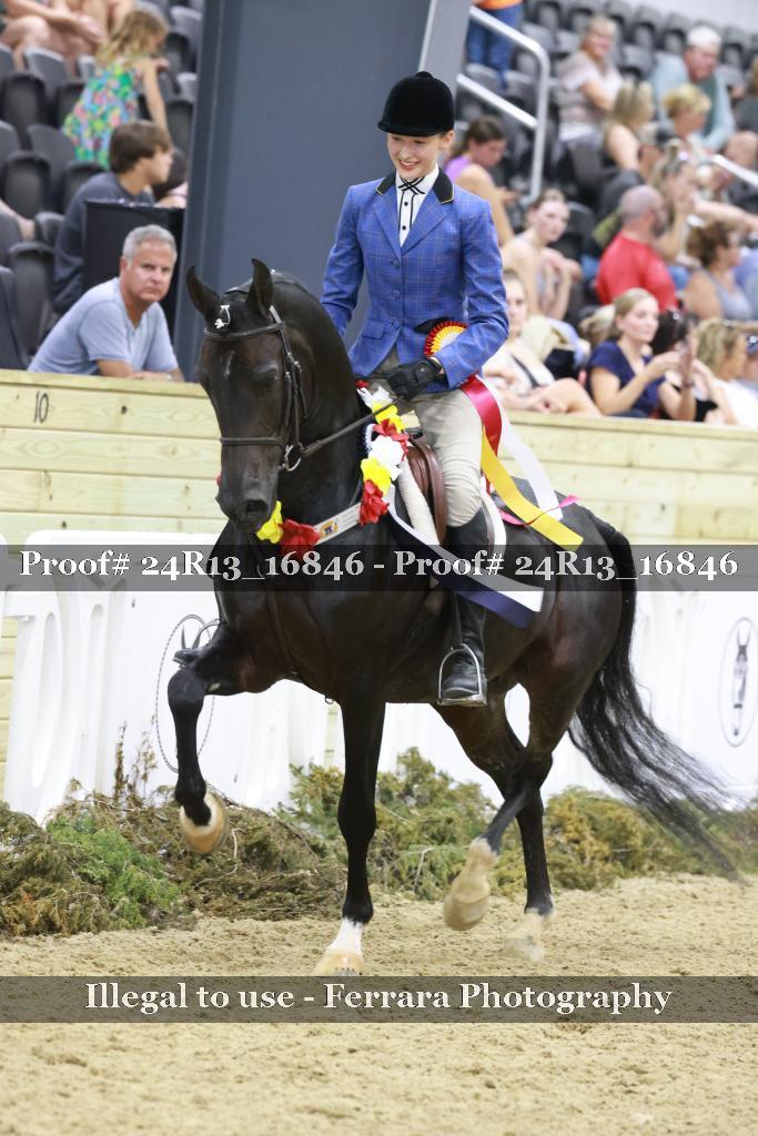 Proof Number 24R13_16846