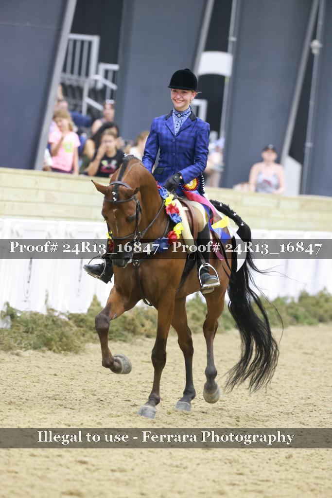 Proof Number 24R13_16847