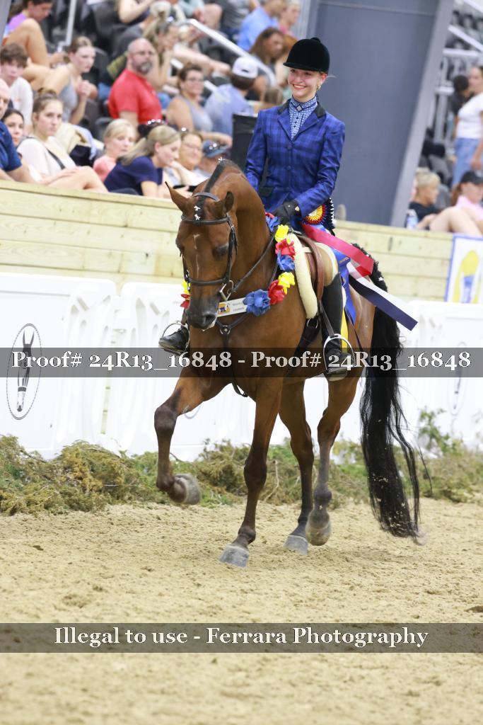 Proof Number 24R13_16848