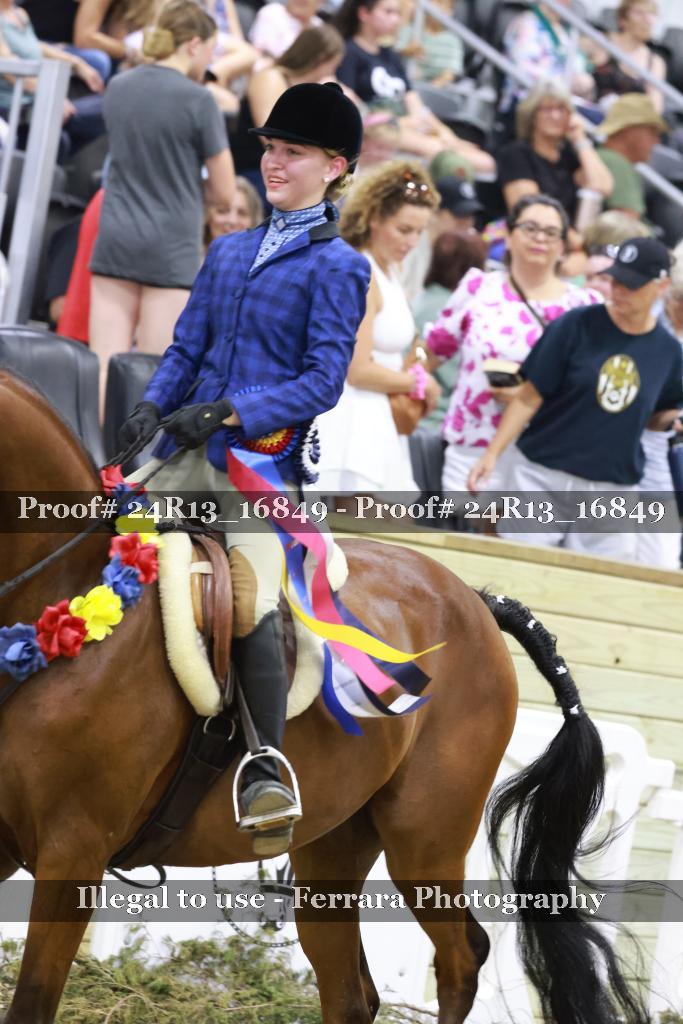 Proof Number 24R13_16849