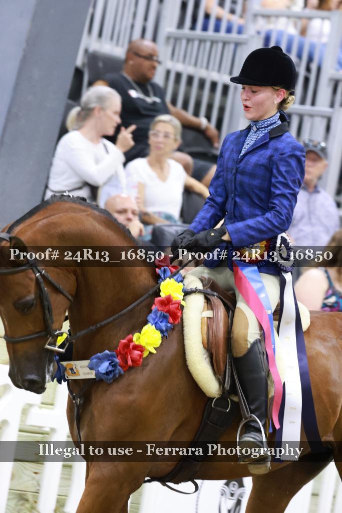 Proof Number 24R13_16850