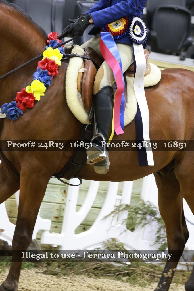 Proof Number 24R13_16851