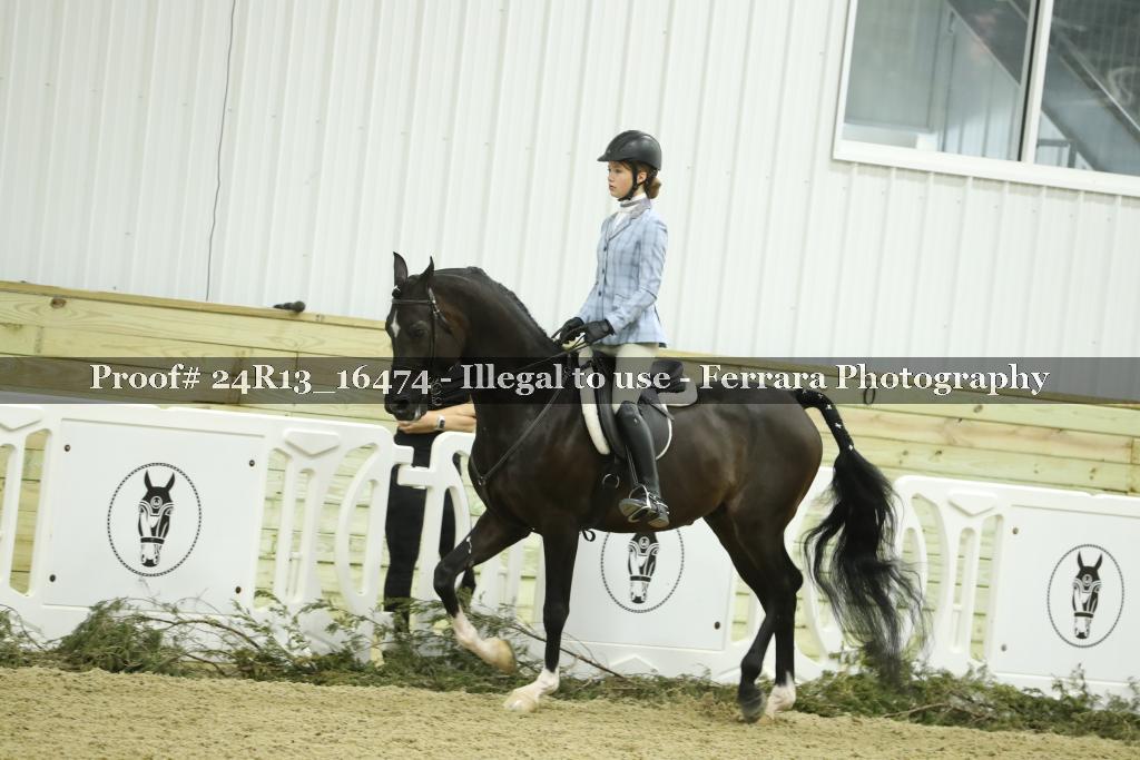 Proof Number 24R13_16474