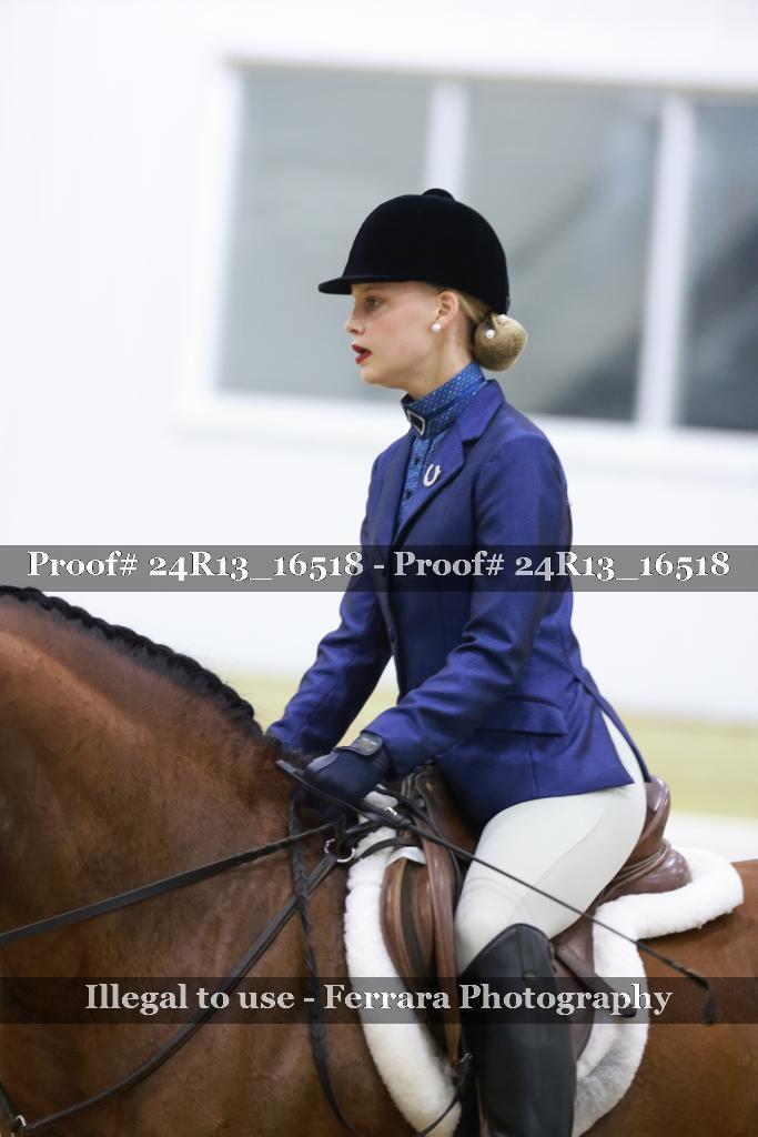 Proof Number 24R13_16518