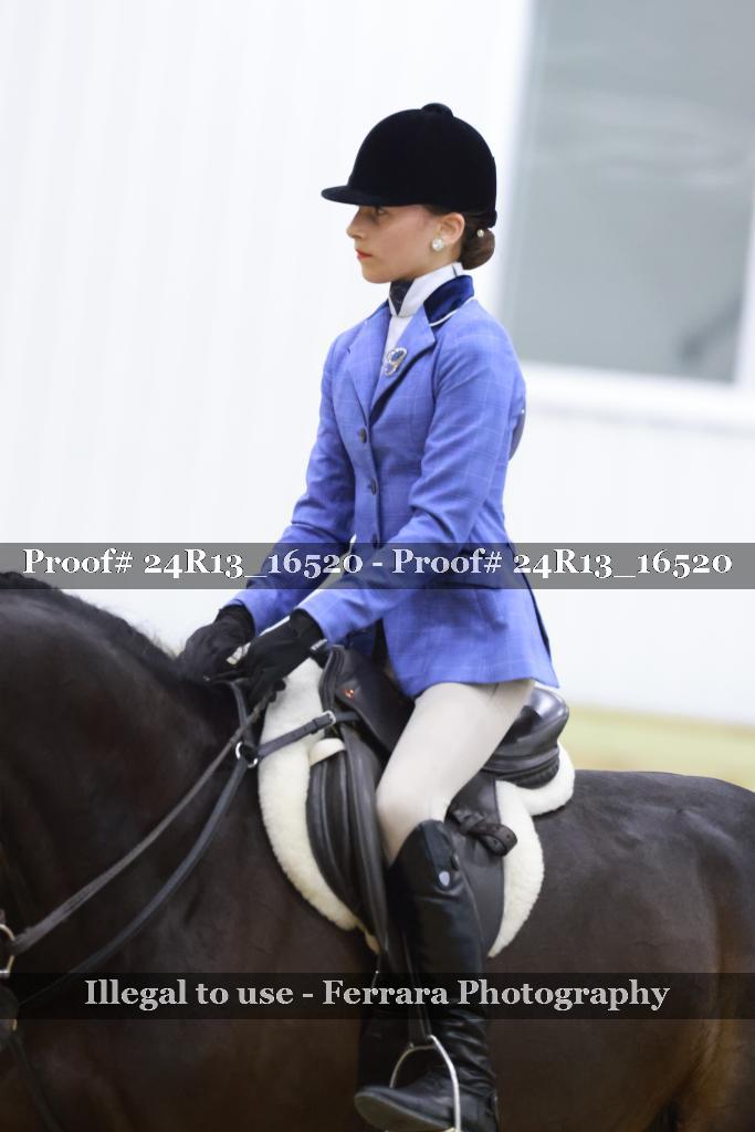 Proof Number 24R13_16520