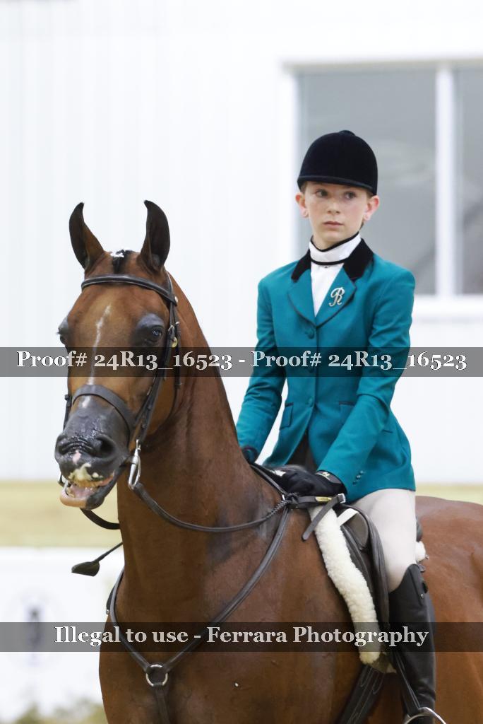 Proof Number 24R13_16523
