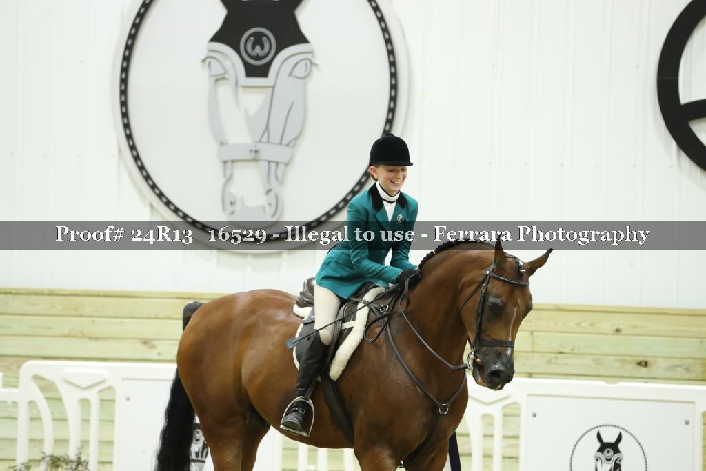 Proof Number 24R13_16529