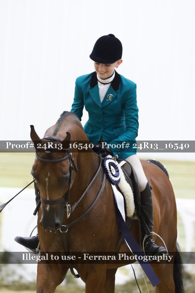 Proof Number 24R13_16540