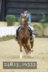 24R13_16553 thumbnail