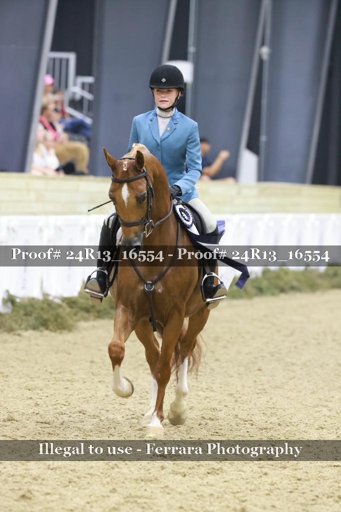 Proof Number 24R13_16554