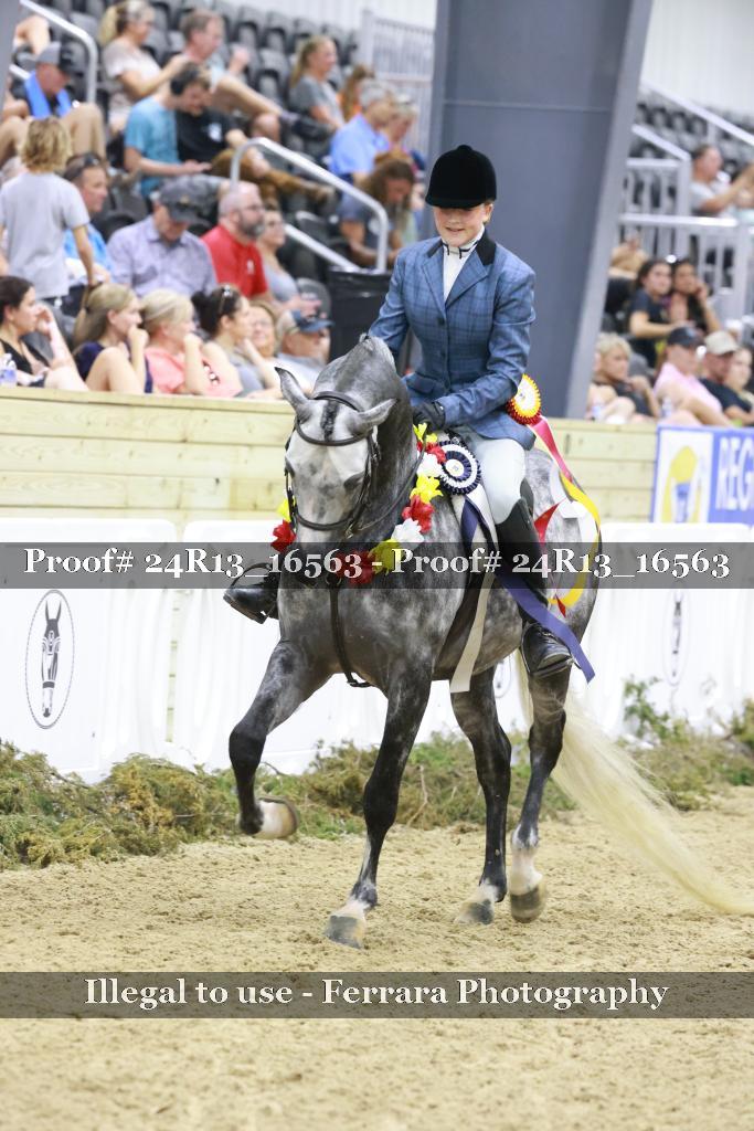 Proof Number 24R13_16563