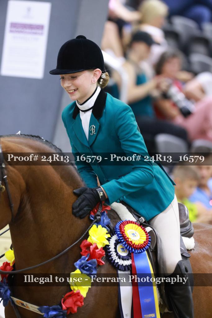 Proof Number 24R13_16579