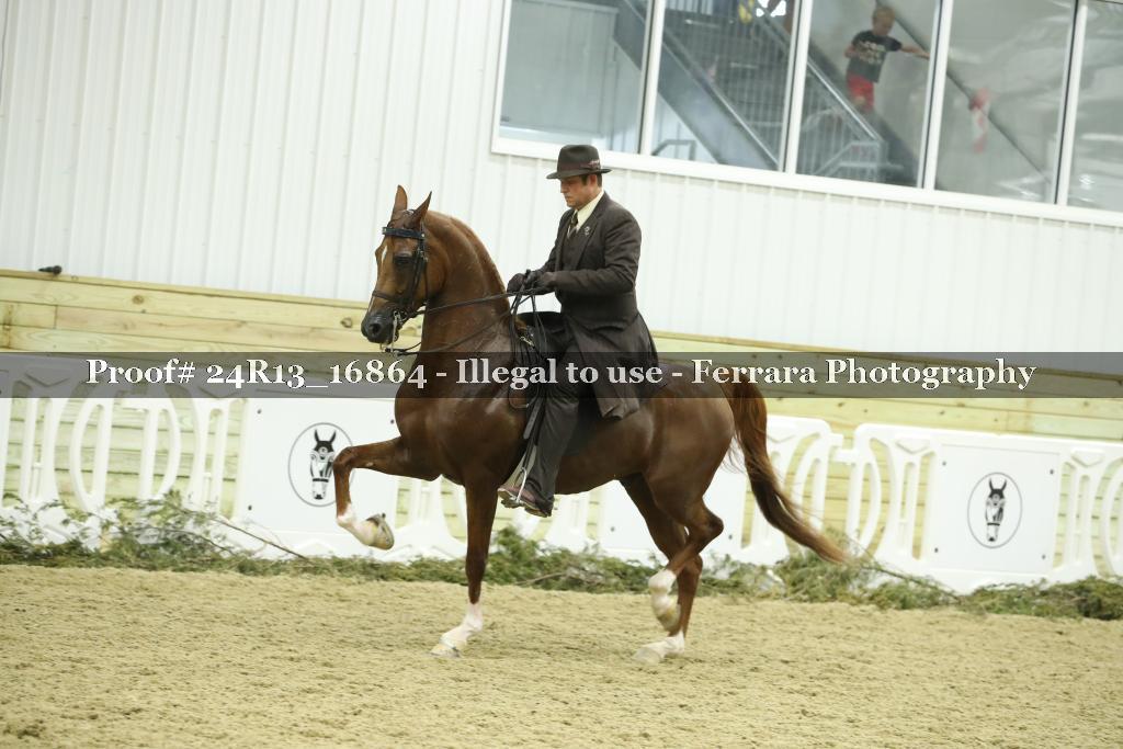 Proof Number 24R13_16864