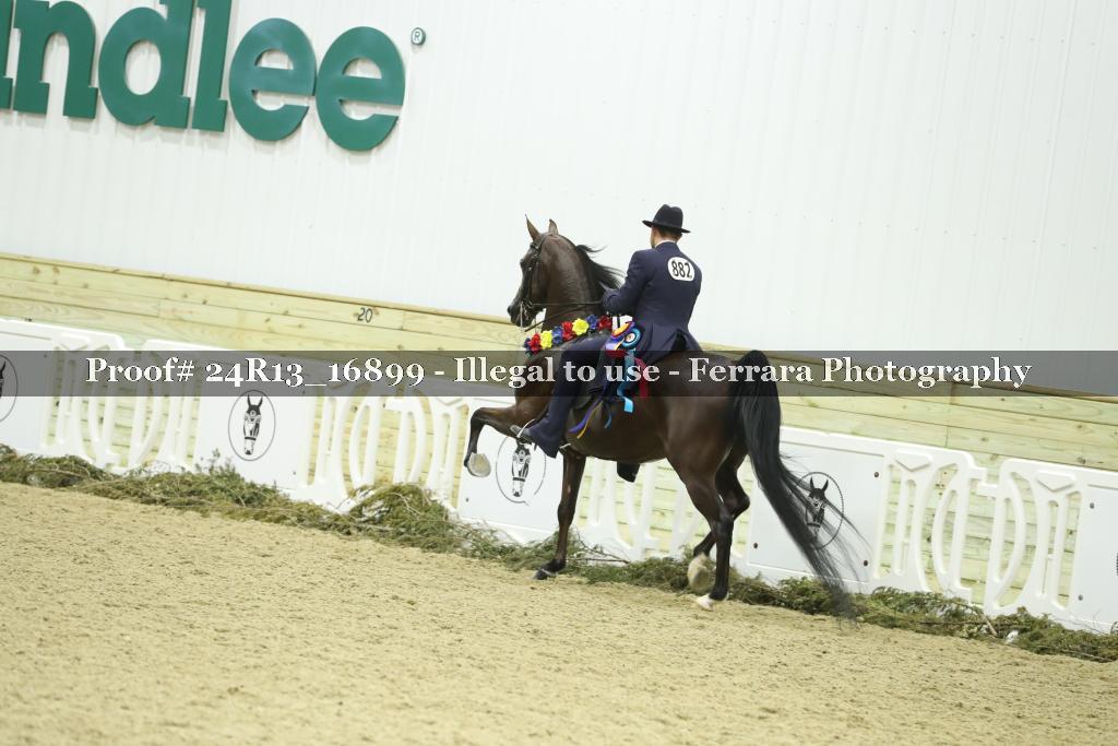 Proof Number 24R13_16899