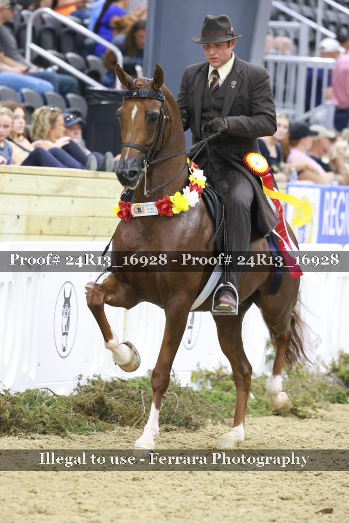 Proof Number 24R13_16928