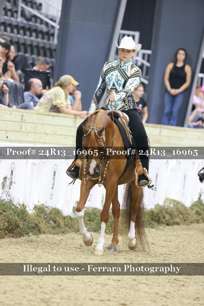 Proof Number 24R13_16965