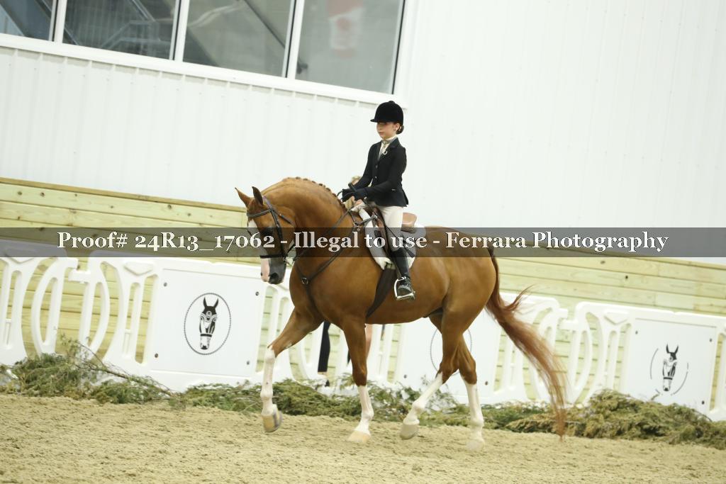 Proof Number 24R13_17062