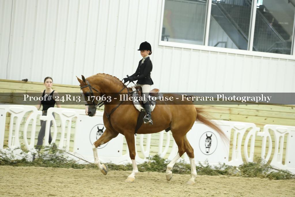 Proof Number 24R13_17063