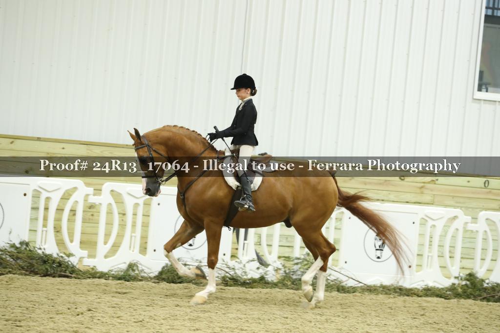 Proof Number 24R13_17064