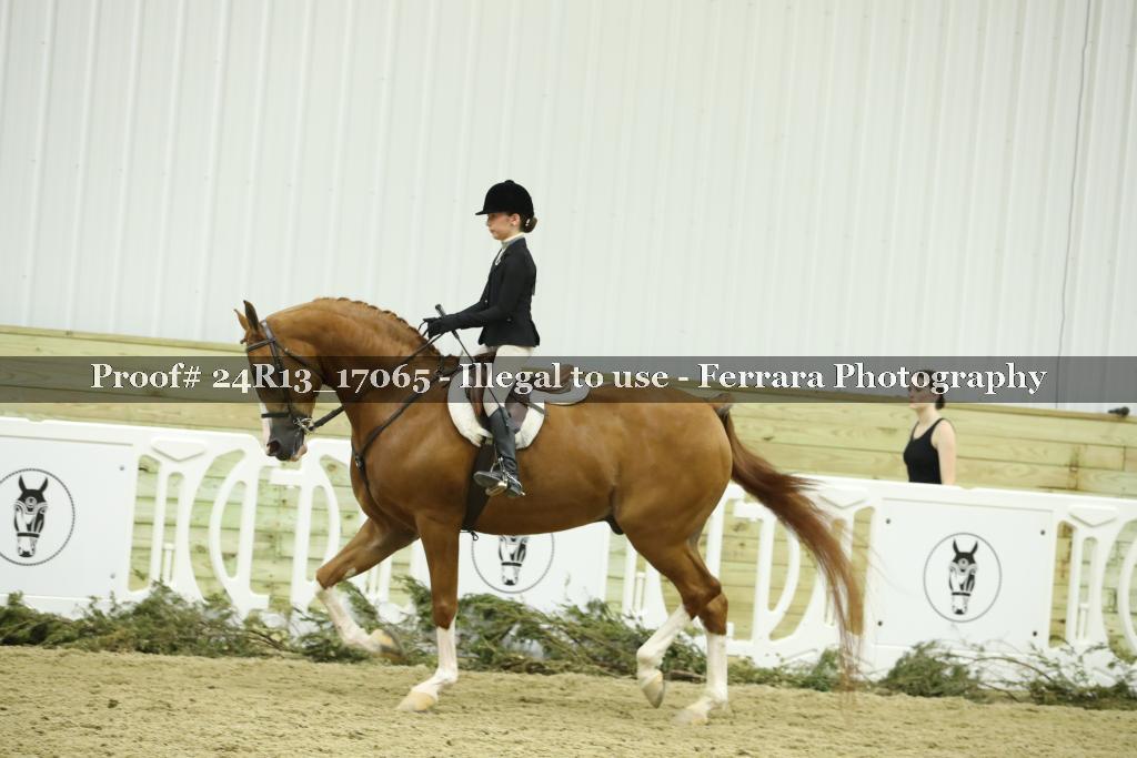 Proof Number 24R13_17065