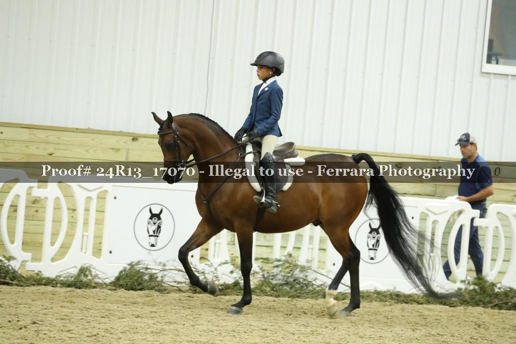 Proof Number 24R13_17070