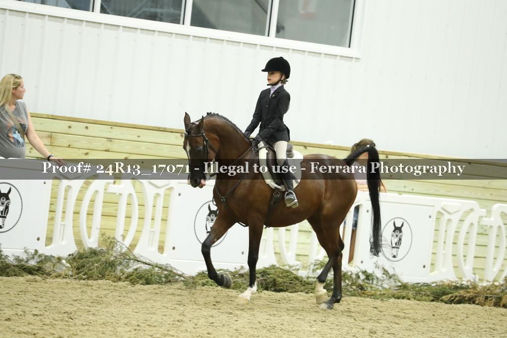 Proof Number 24R13_17071