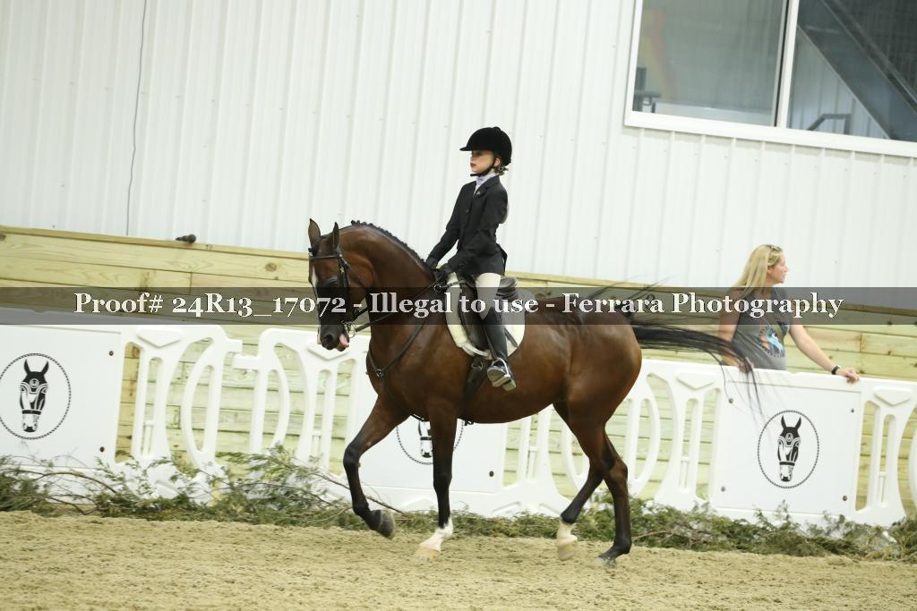 Proof Number 24R13_17072