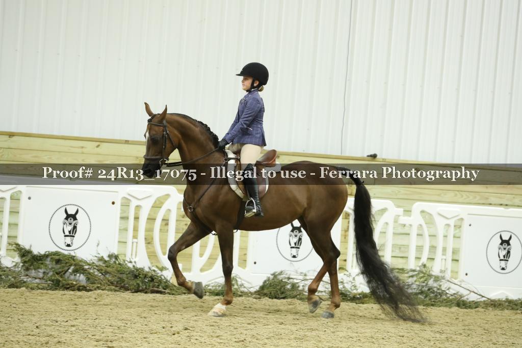 Proof Number 24R13_17075