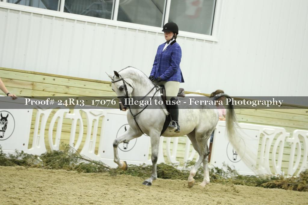 Proof Number 24R13_17076