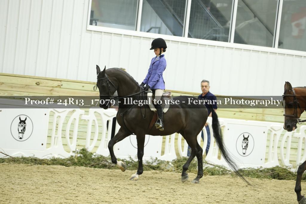 Proof Number 24R13_17079
