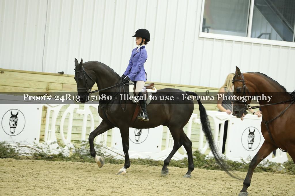Proof Number 24R13_17080