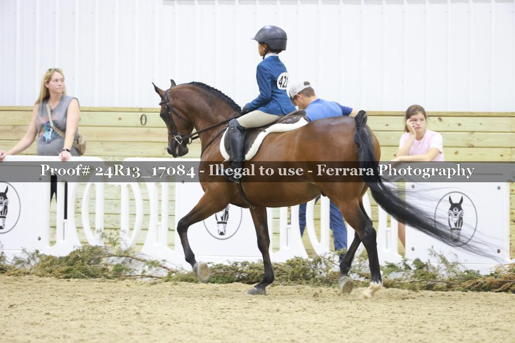 Proof Number 24R13_17084